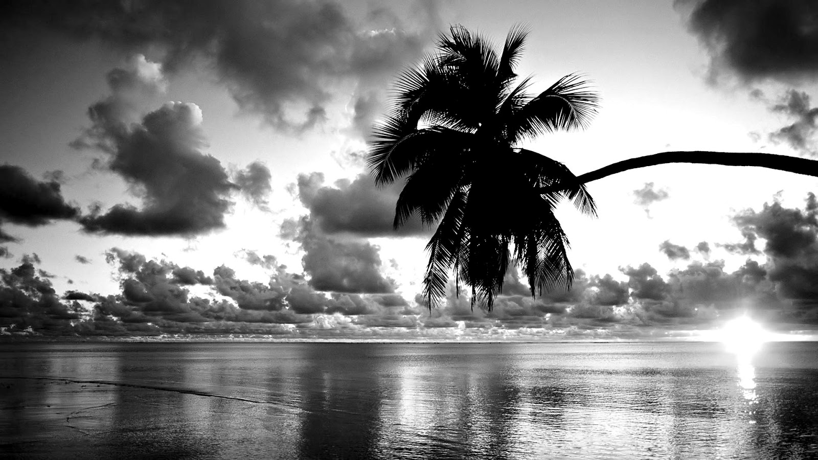 Black White Sunset Beach Wallpaper HD